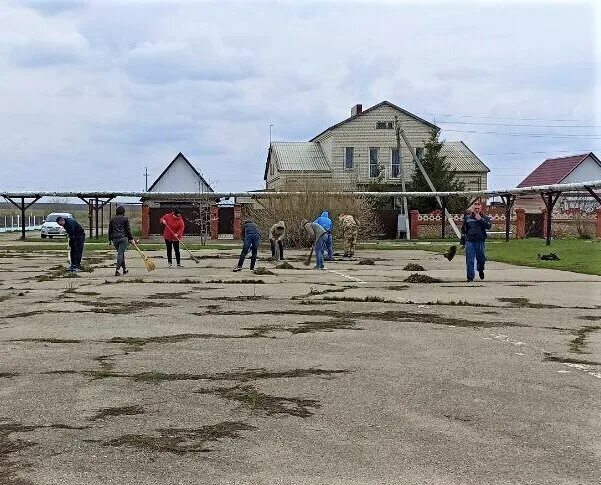 Поселок преображение фото Весеннее преображение поселка продолжаетсяНовости Михайловского района