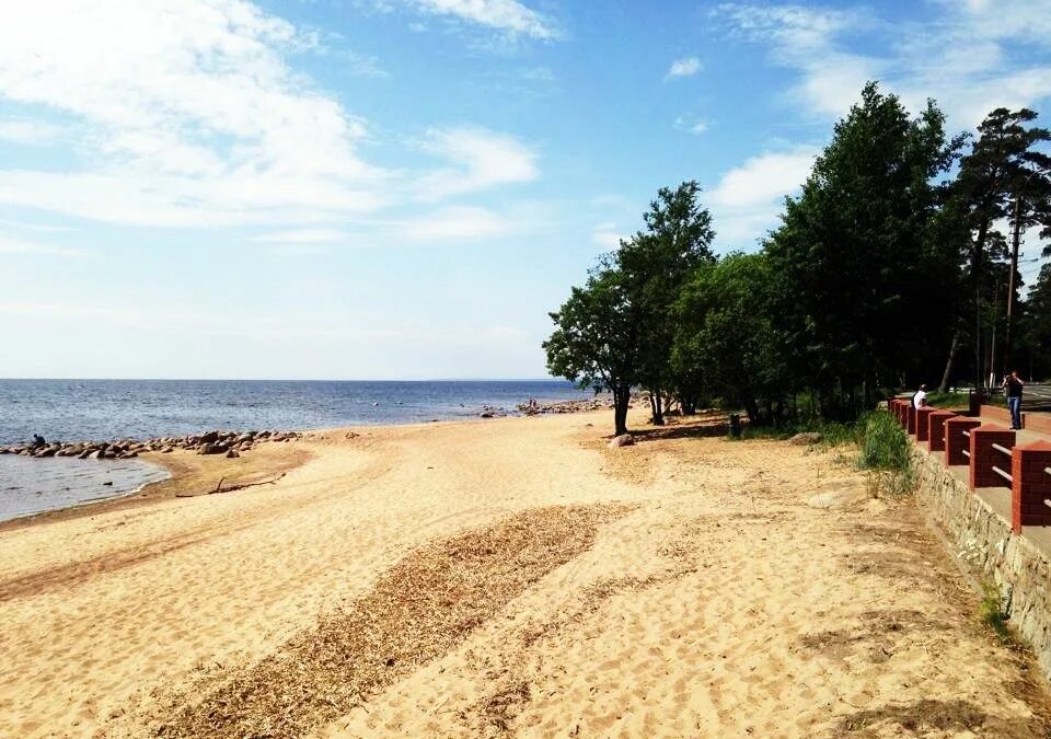 Поселок репино ленинградская область фото Pension "Burevestnik" Repino Leningrad oblast: цены на проживание, отзывы турист