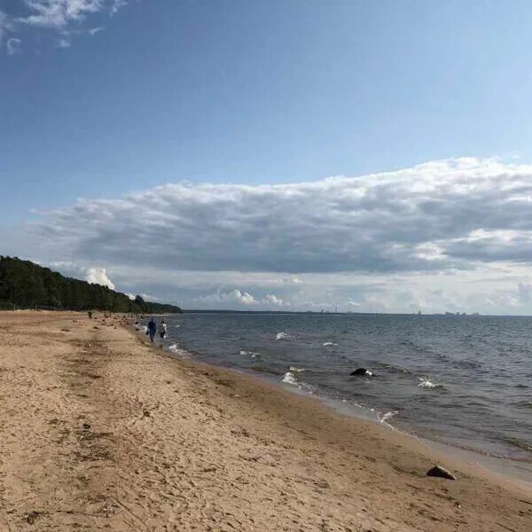 Поселок репино ленинградская область фото Лучшие пляжи Санкт-Петербурга, где можно купаться - Я Покупаю