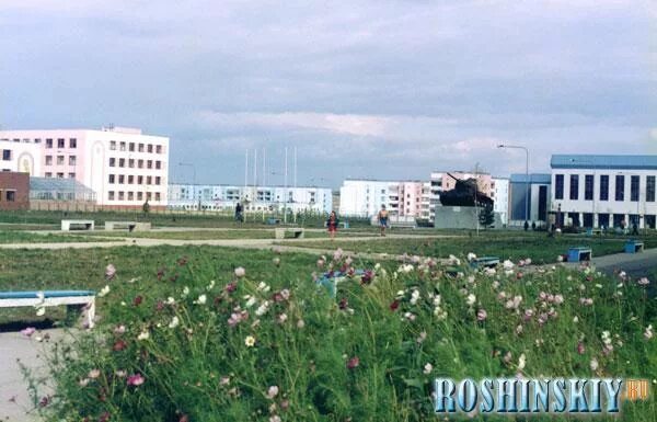 Поселок рощинский фото Рощинский сельсовет
