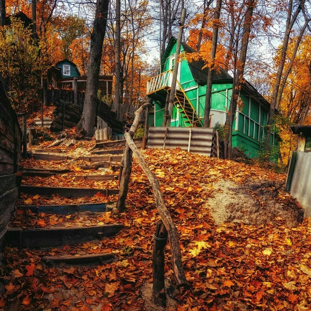 Поселок рыбачий воронеж фото осень Поселок рыбачий фото YugNash.ru