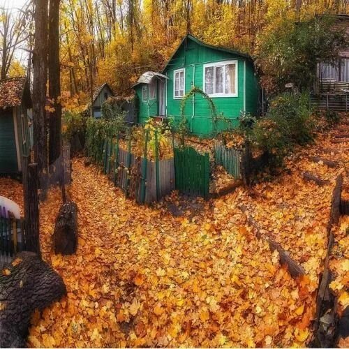Поселок рыбачий воронеж фото осень Autumn in Russia Landscape photography, World photography, World of color