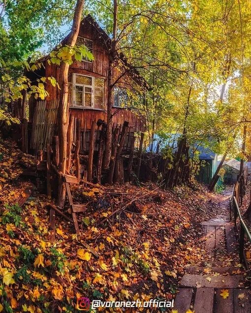 Поселок рыбачий воронеж фото осень Поселок рыбачий фото YugNash.ru