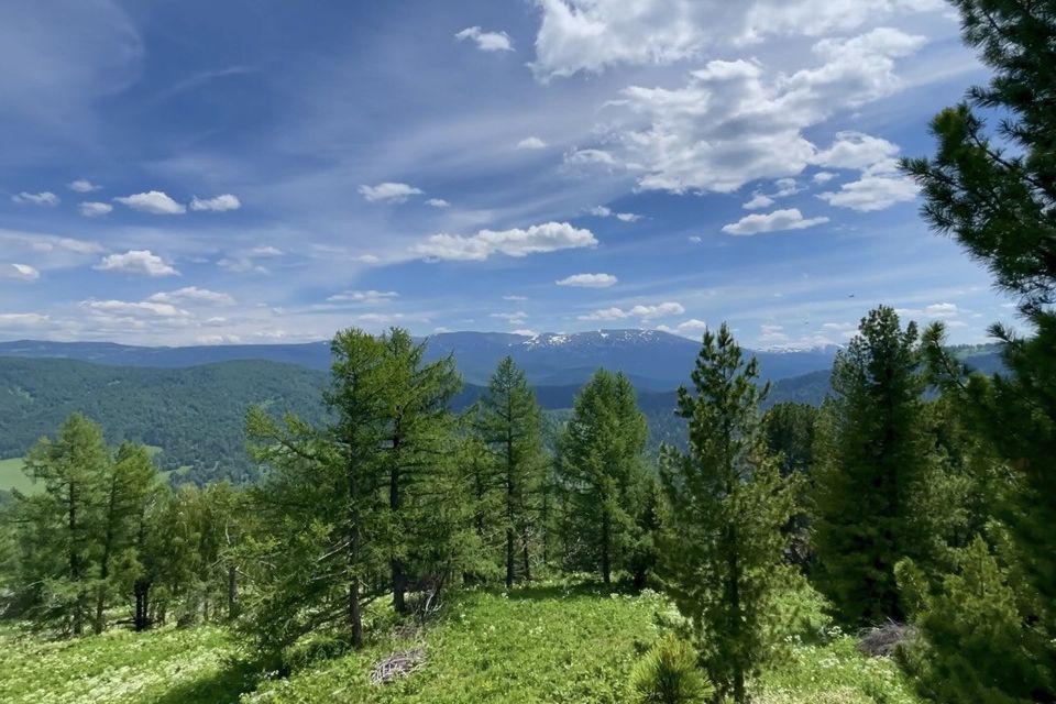 Поселок седьмое небо алтай фото Купить Земельный Участок у Озера на улице Дорожников (село Чемал) - предложения 