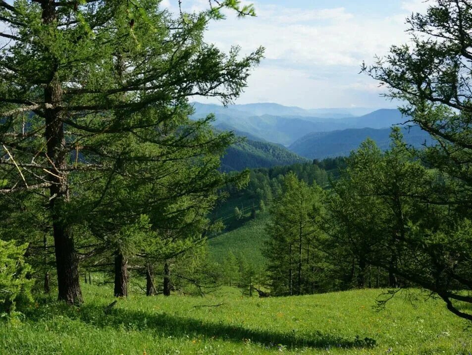 Поселок седьмое небо алтай фото Участки в районе Панорама ждут ценителей головокружительных видов и волшебных. Э