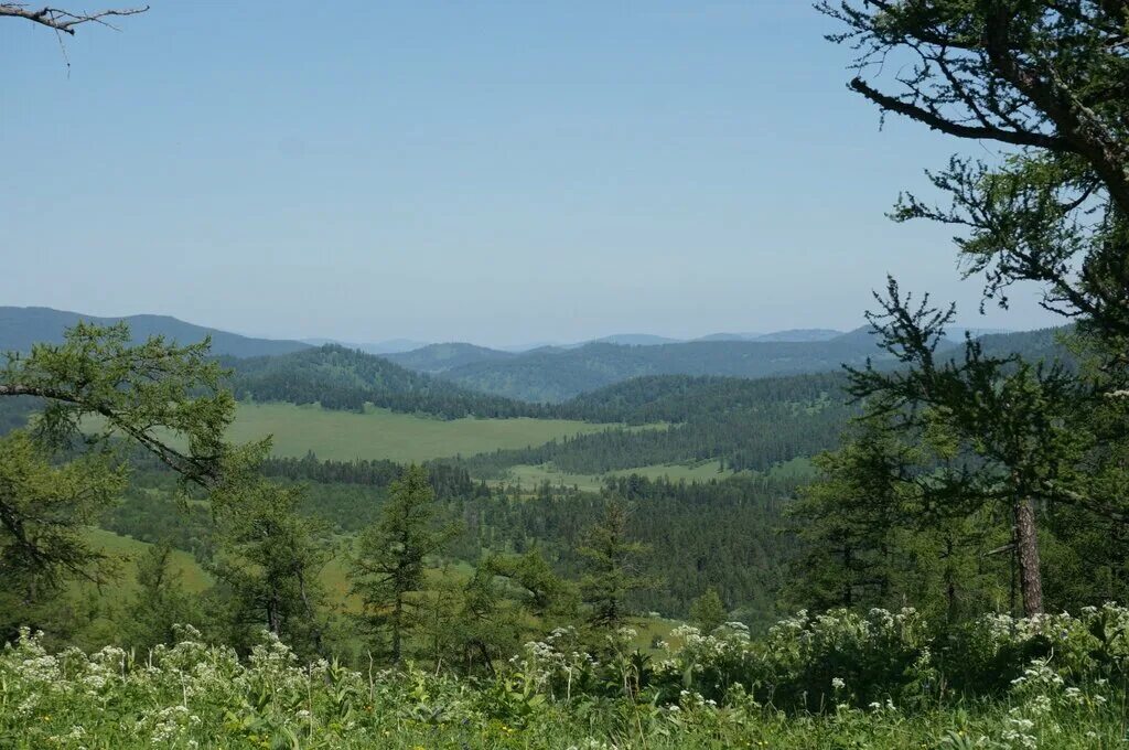 Поселок седьмое небо алтай фото Eko-poselok Sedmoye nebo, land sale, Russia, Republic of Altai, Chemalskiy rayon