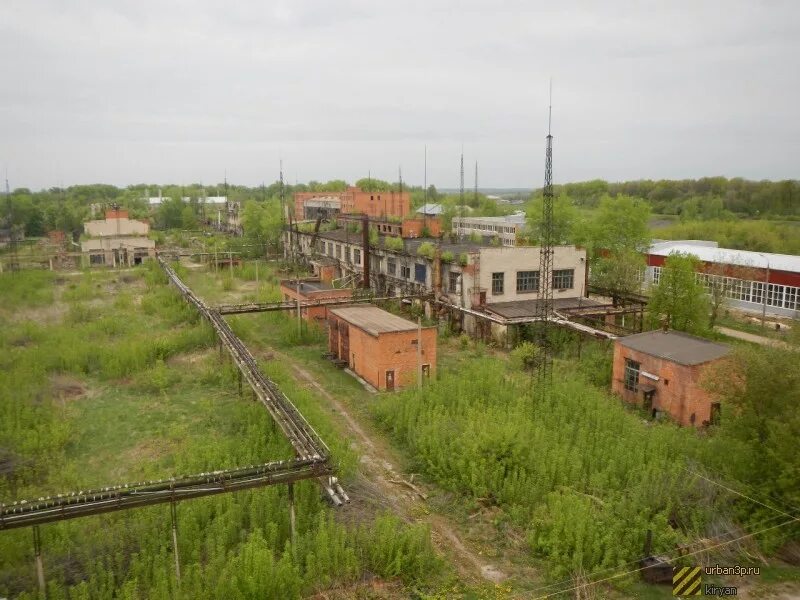 Поселок шварцевский фото Новости Шварцевский Тульской Области Свежие - Экстренно.ру