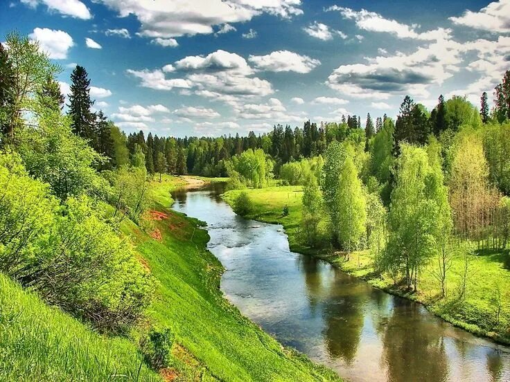 Поселок сиверский фото Вот она красота Русская!!!! река Оредеж не далеко от поселка Сиверский #оредеж #