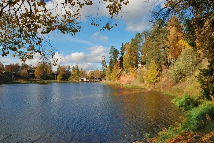 Поселок сиверский фото Сиверский