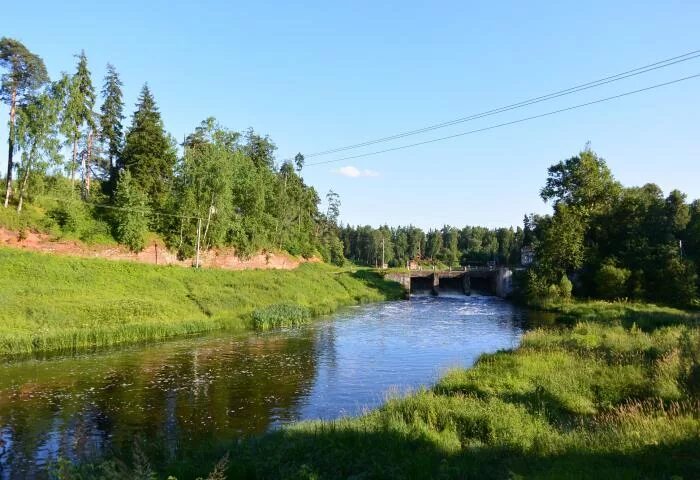 Поселок сиверский ленинградская область фото Сиверский