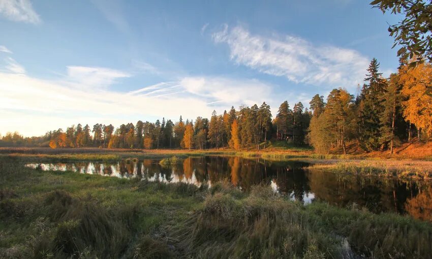 Поселок сиверский ленинградская область фото Сиверский ленинградская область фото YugNash.ru