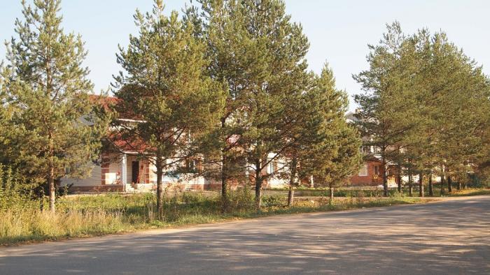 Поселок сосновка фото Сосновка