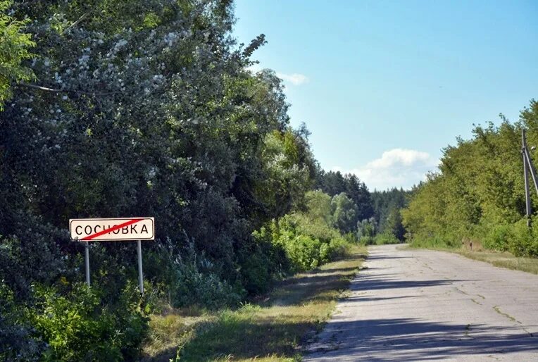 Поселок сосновка фото Село на краю бора. Даешь пустые деревни для дачников! Город на реке Самара