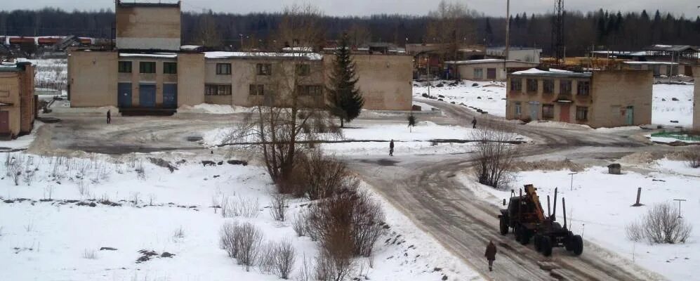 Поселок совхозный фото Поселок Совхозный Бокситогорского района Ленинградской области