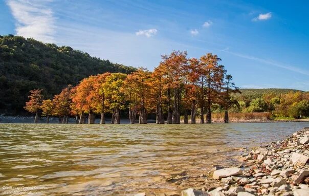 Поселок сукко кипарисовое озеро фото Be sure to visit - cypress artificial lake Succo near Anapa 2022 TIME VK