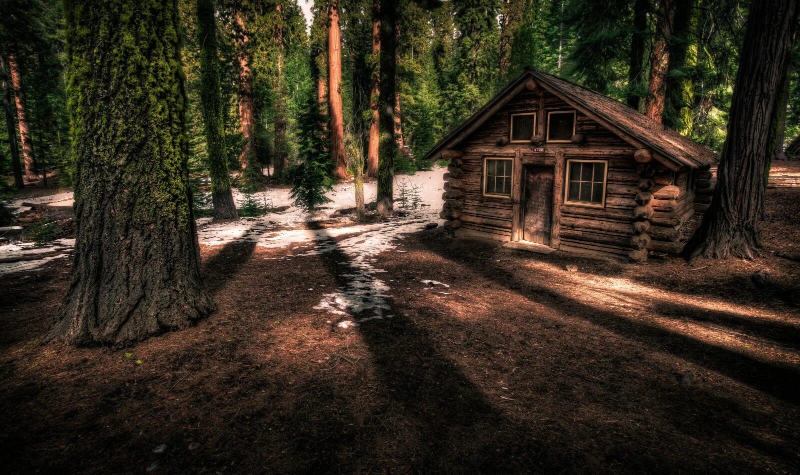 Поселок в лесу фото Wallpaper : California, park, wood, trees, forest, wooden, big, cabin, woods, na