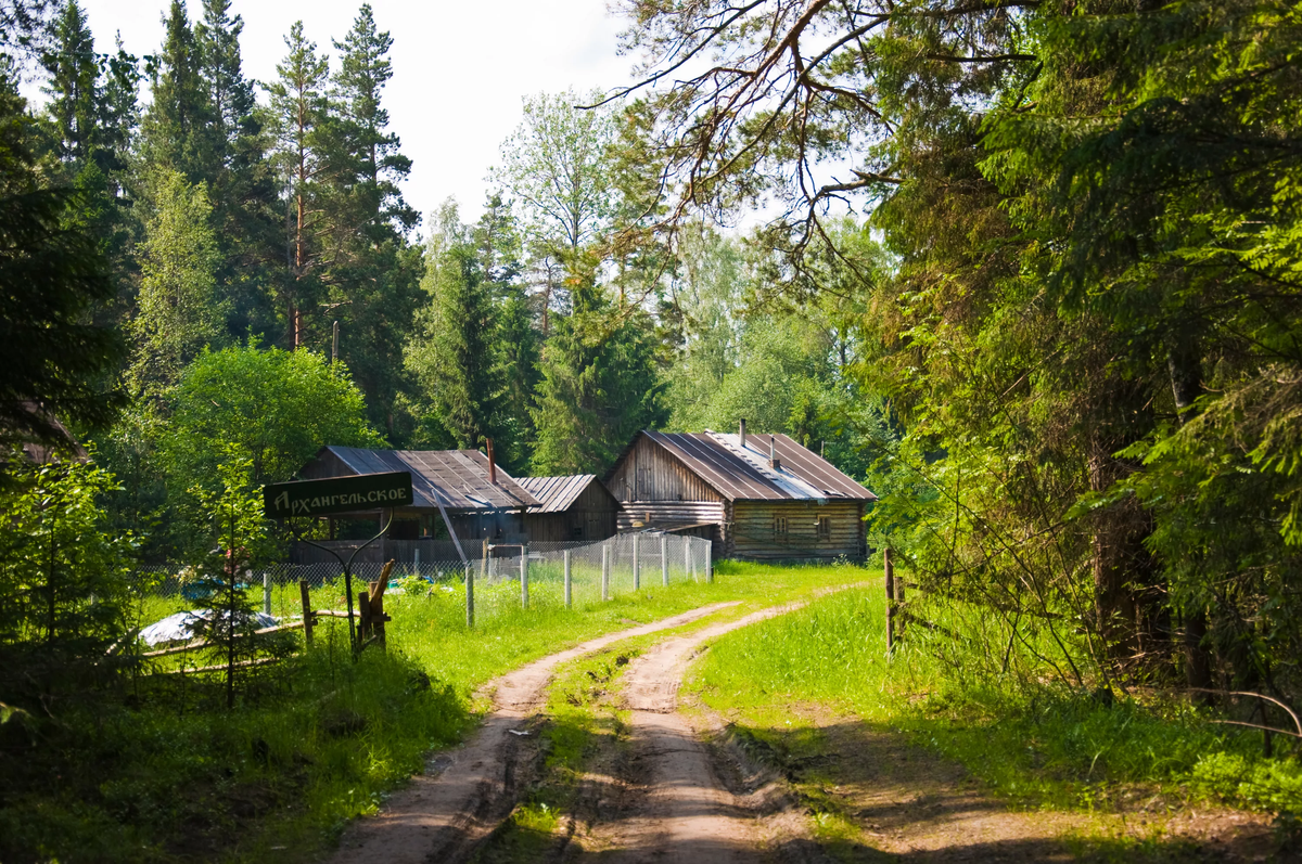 Поселок в лесу фото Таежная глубинка