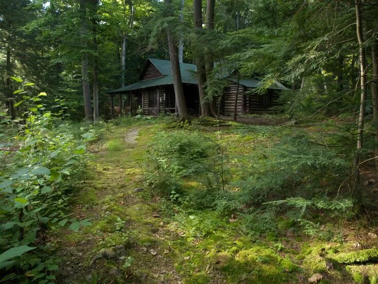 Поселок в лесу фото My Future Home....*sigh* Cabins in the woods, Beautiful cabins, Old cabins