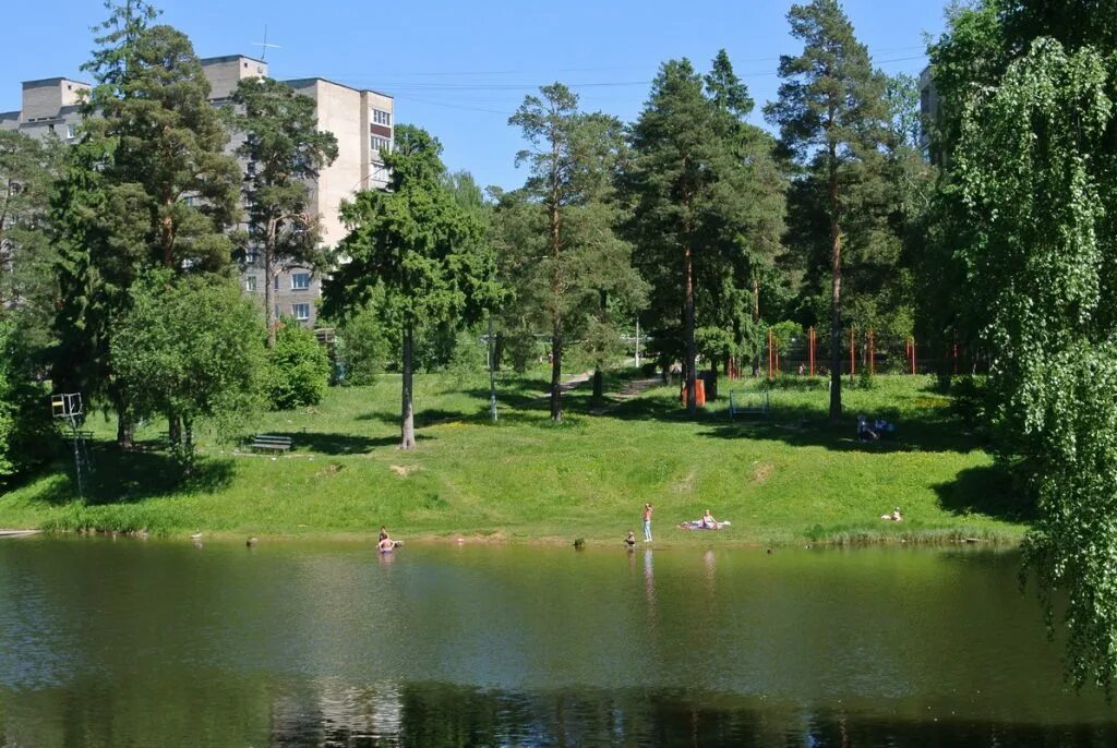 Поселок власиха фото Городская среда Комфортная городская среда