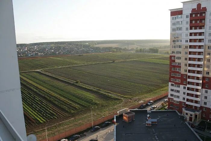 Поселок внииссок фото Опытные поля института ВНИИССОК