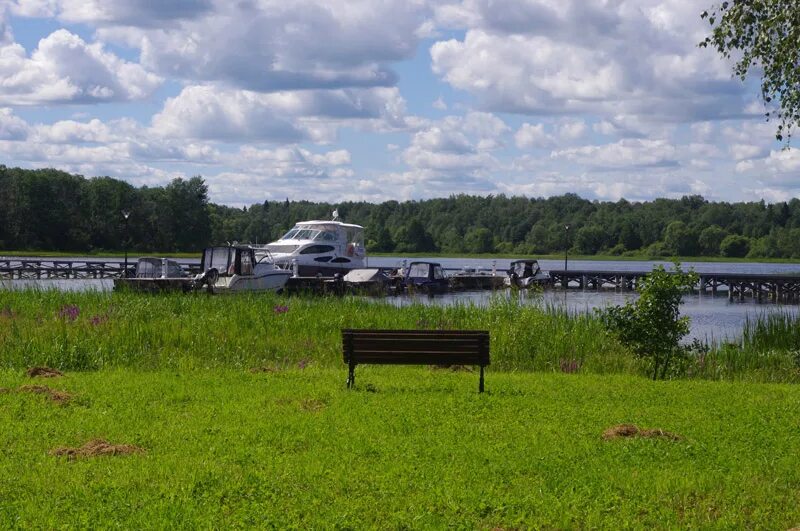 Проекты ярославцев по ликвидации гудронных прудов поддержали в Совете Федерации 