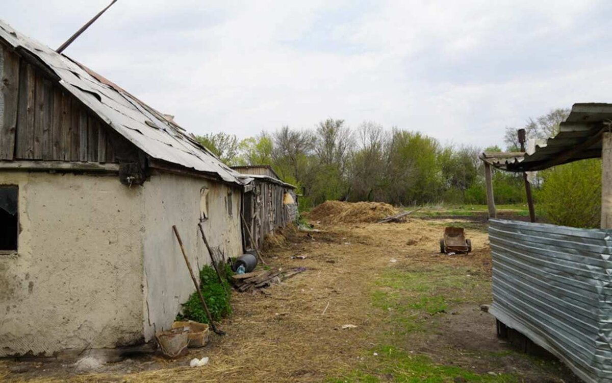 Поселок заря фото Поселок Заря ликвидируют в Воронежской области Горком36 Воронеж Дзен