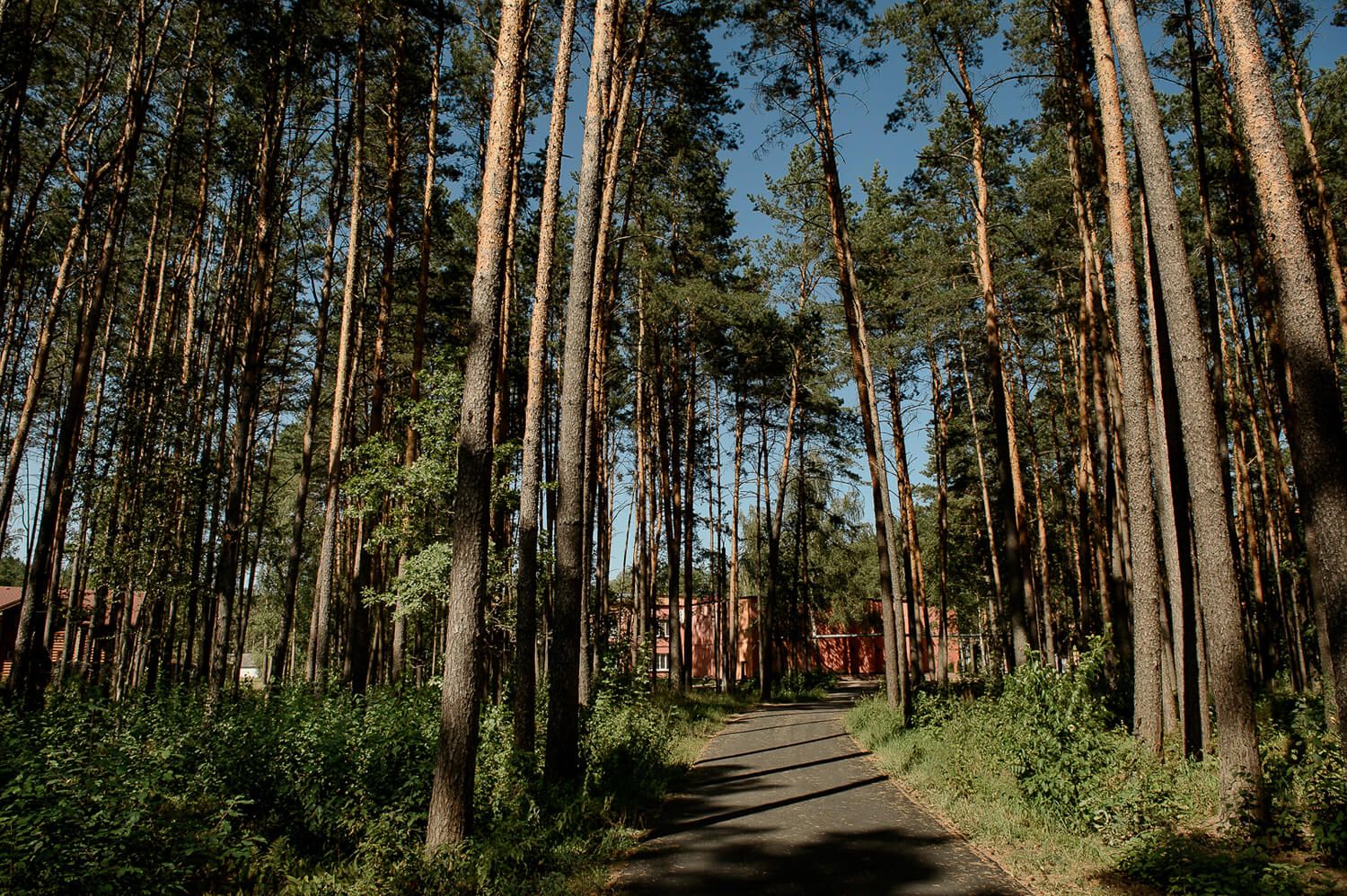 Поселок затишье фото Фото территории санатория "Затишье"