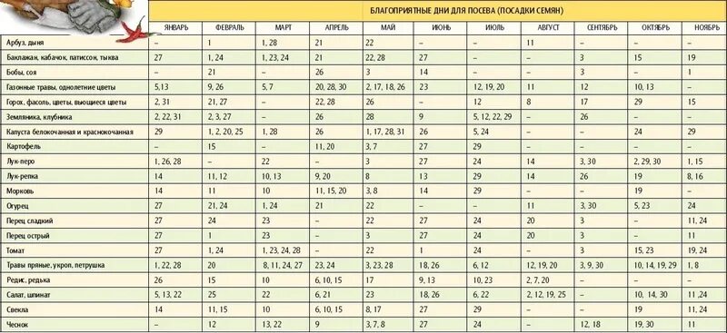 Посев чеснока под зиму по лунному календарю График посадки рассады в средней полосе