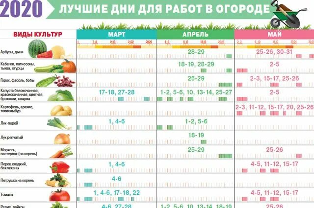 Посевной календарь на 2020 года садовода Лунный календарь дачника - 2020 Аргументы и Факты