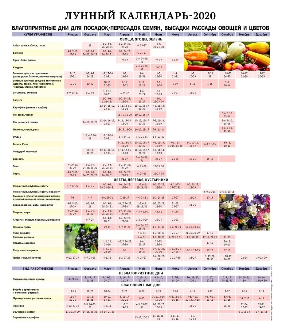 Посевной календарь на 2020 года садовода Лунный календарь садовода огородника на 2020: найдено 79 изображений
