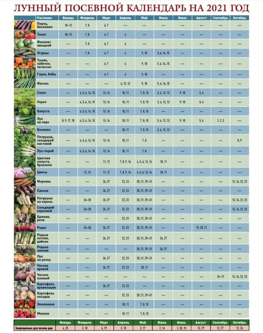 Посевной календарь на 2021 года Календарь посадок спб