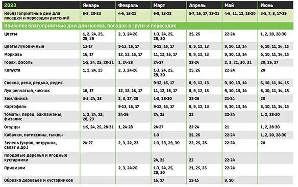 Посевной календарь на 2023 год садовода Лунный посевной календарь на 2023 год Северная неделя