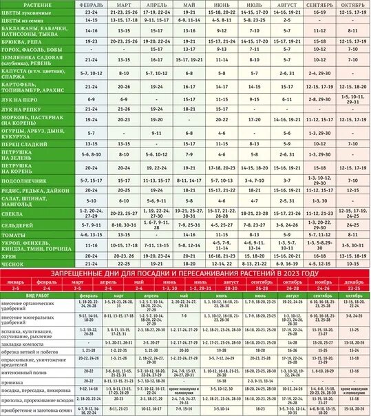 Посевной календарь на 2023 год садовода Посевной календарь на 2023 год