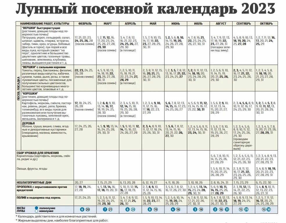 Посевной календарь на 2023 год садовода Опубликован лунный посевной календарь на 2023 год - Gornovosti.Ru