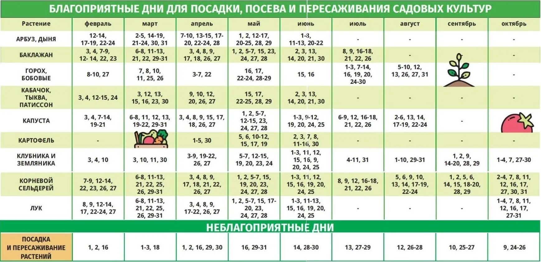 Посевной календарь на 2024 год по месяцам Посадочные дни в апреле цветов на рассаду