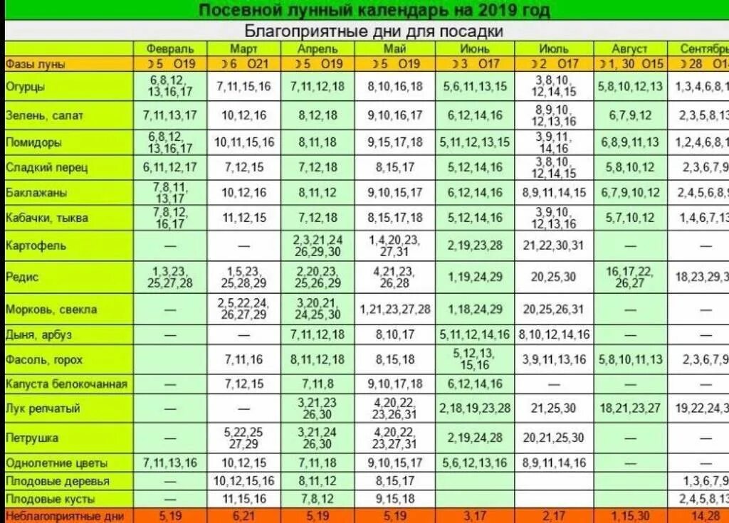 Посевной календарь на 2024 год по месяцам Посевной календарь для сибири на 2024г август