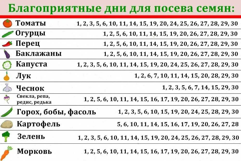 Посевной календарь на 2024 год по месяцам Посевной календарь сибири июнь 2024