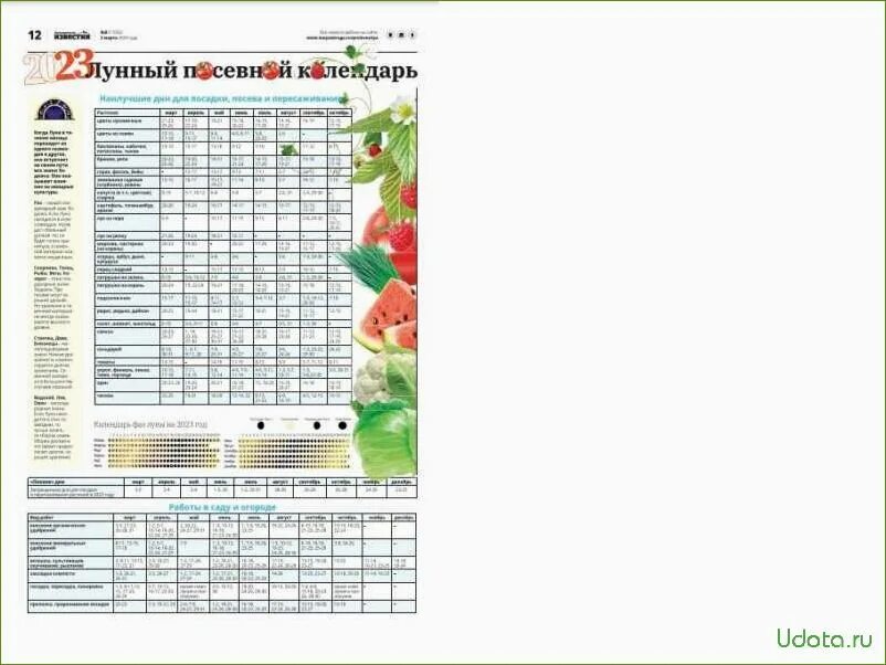 Посевной календарь на 2024г для сибири лунный Посевной календарь сибири июнь 2024
