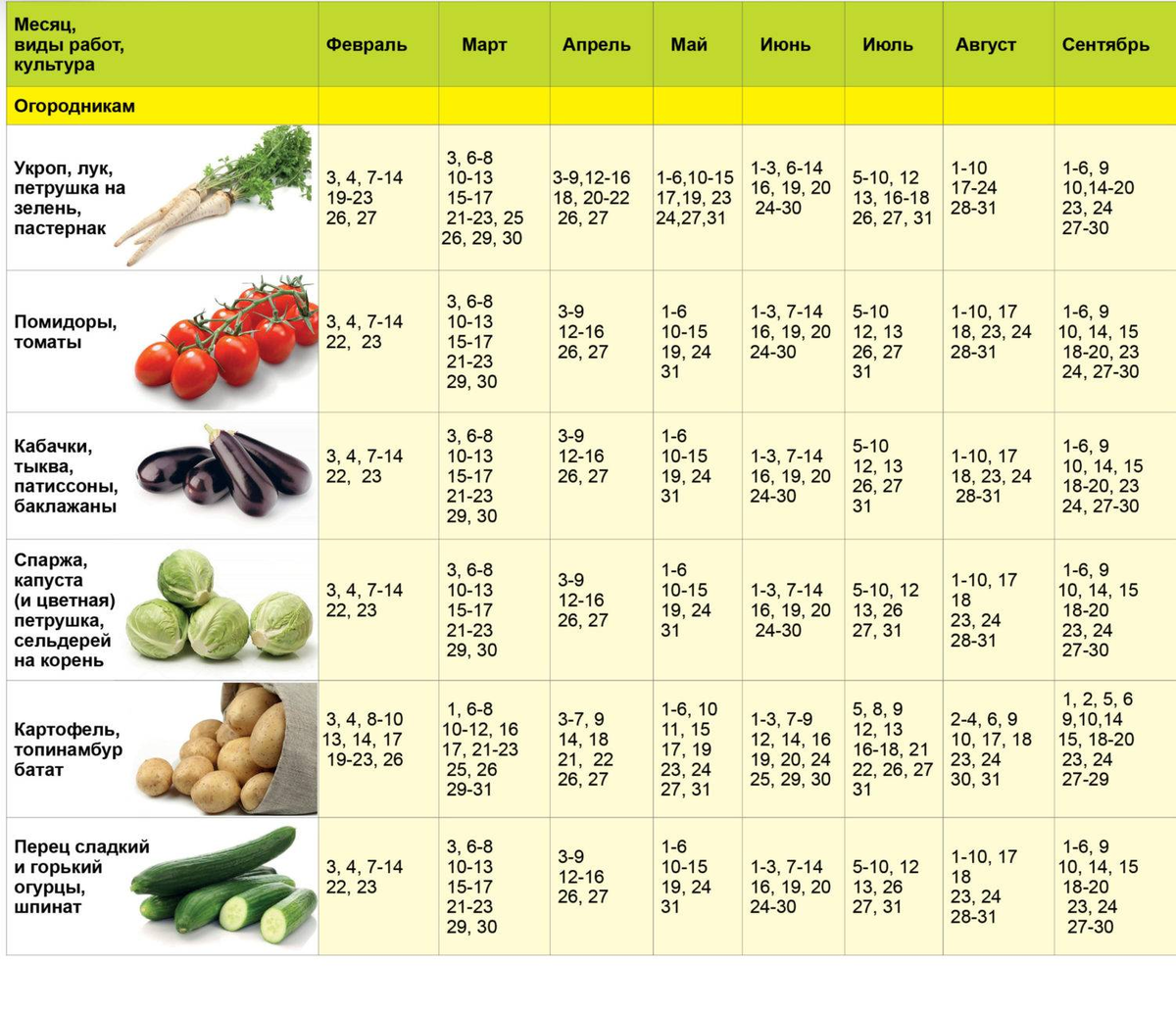 Посевной календарь для сибири на 2024г август