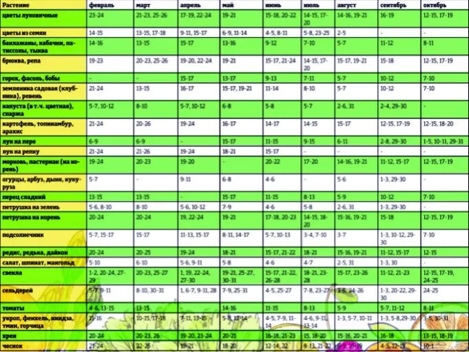 Посевной календарь на 24 год Календарь посева цветов 2024 год март: найдено 77 изображений