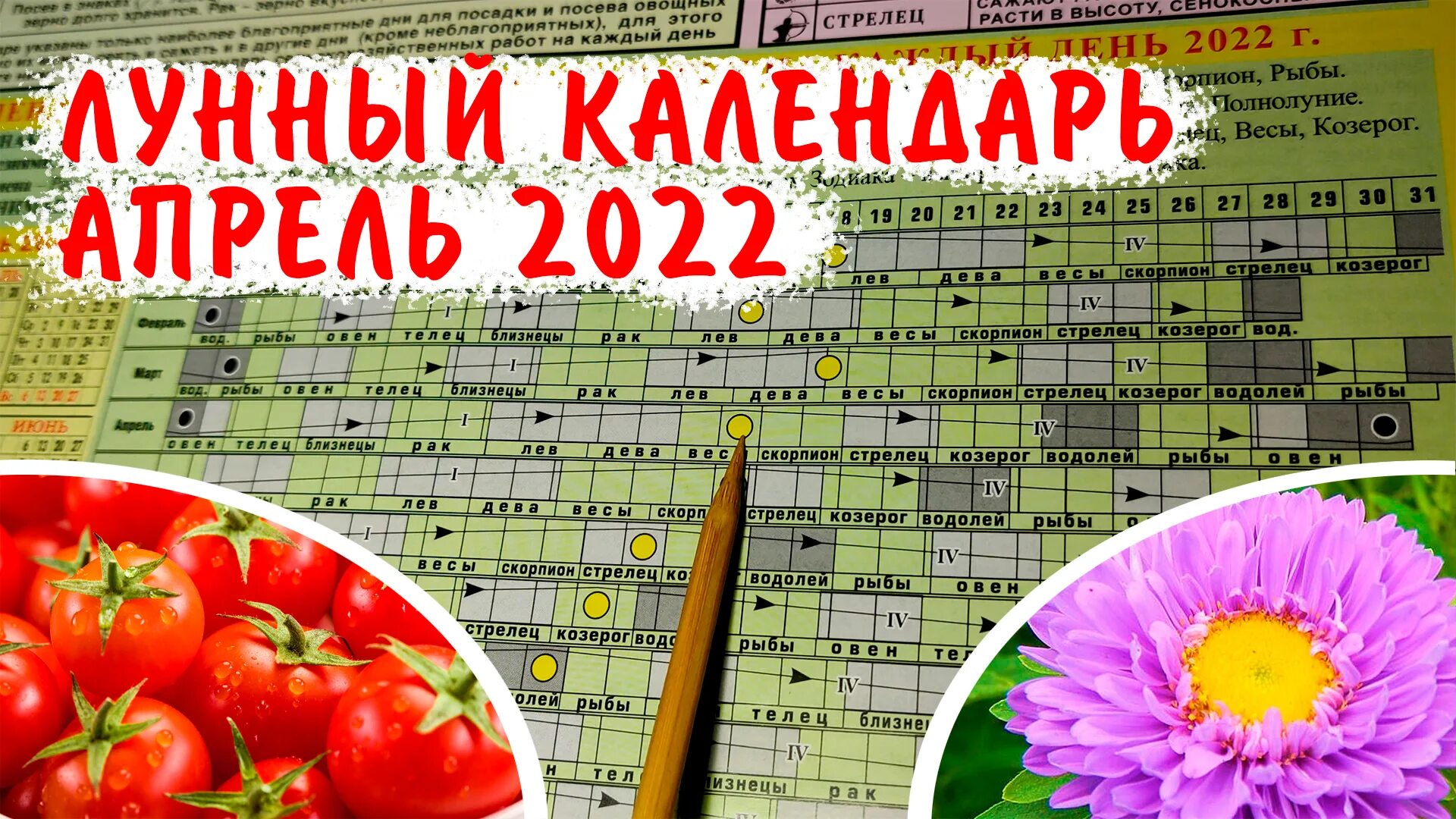 Посевной календарь на август 2024 года Календарь садовода на 2024г алтайский край