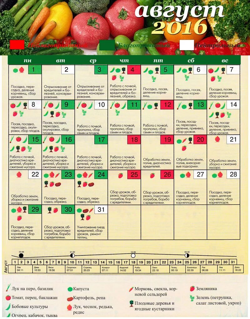 Посевной календарь на август 2024 года Лунный календарь уборки чеснока в июле 2024: найдено 75 изображений