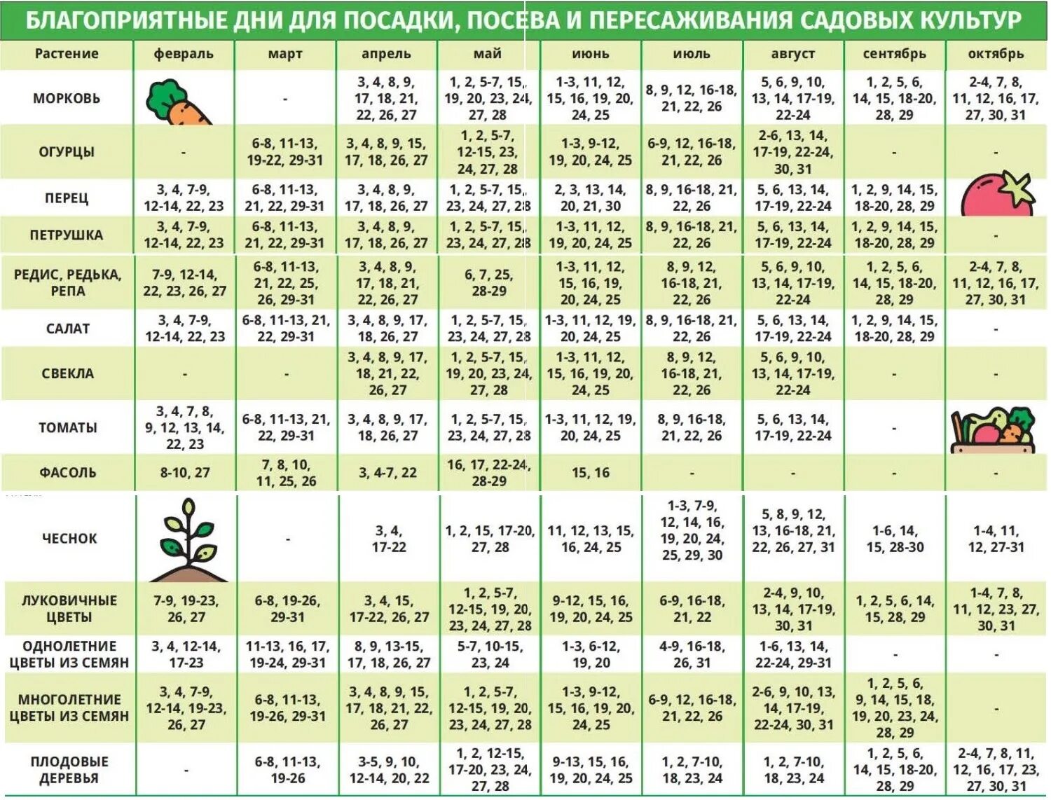 Посевной календарь на сентябрь 2024 года садовода Посадочные дни в апреле месяце 2024