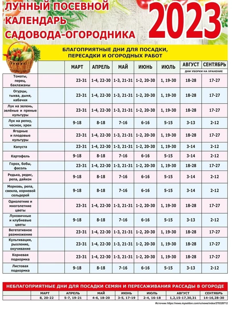 Посевной календарь огородника на сентябрь 2024 года Календарь посадок алтайский край