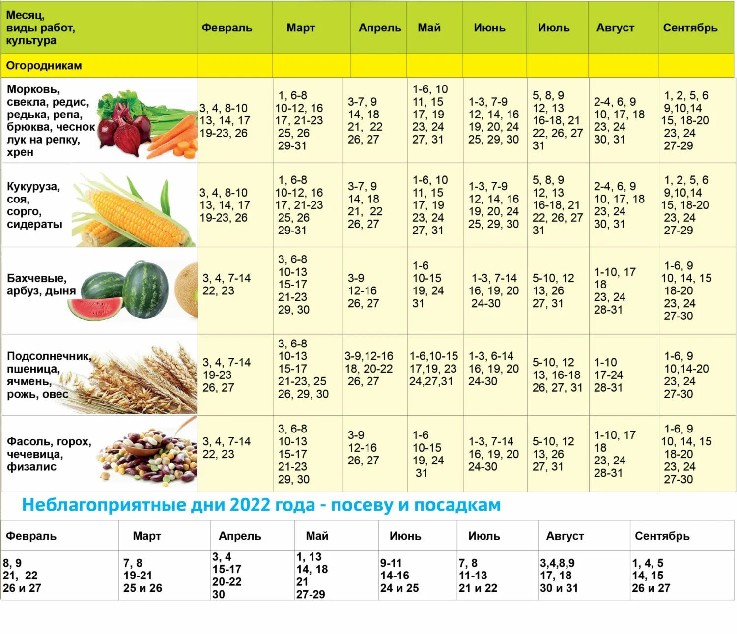 Посевной календарь огородника на сентябрь 2024 года Календарь 2024 года посева семян