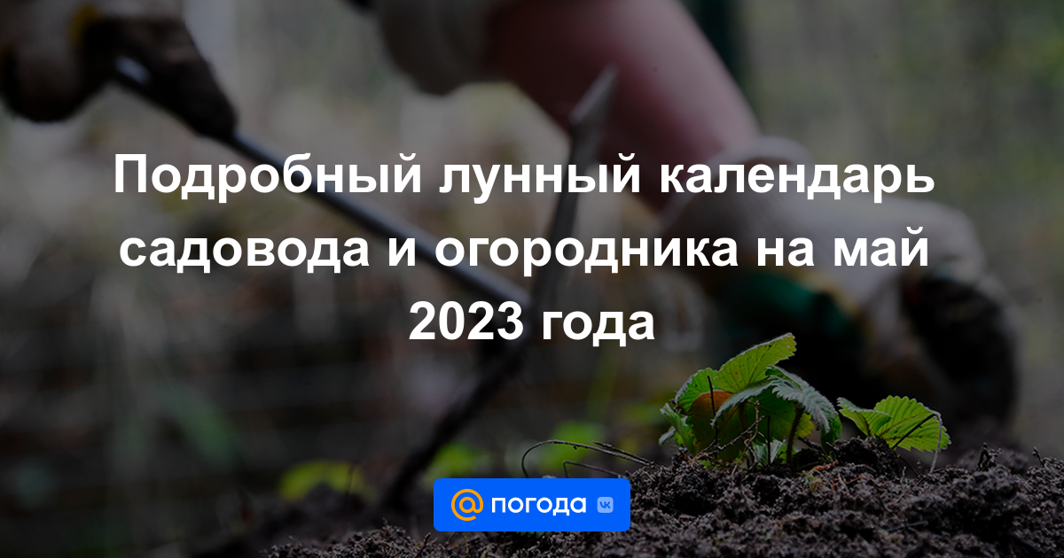 Посевной лунный календарь огородника май Посевной календарь май 2024г садовода