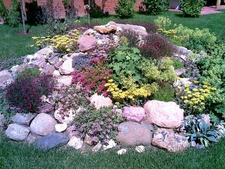 Пошаговая инструкция альпийской горки фото Rock garden landscaping, Rockery garden, Rock garden