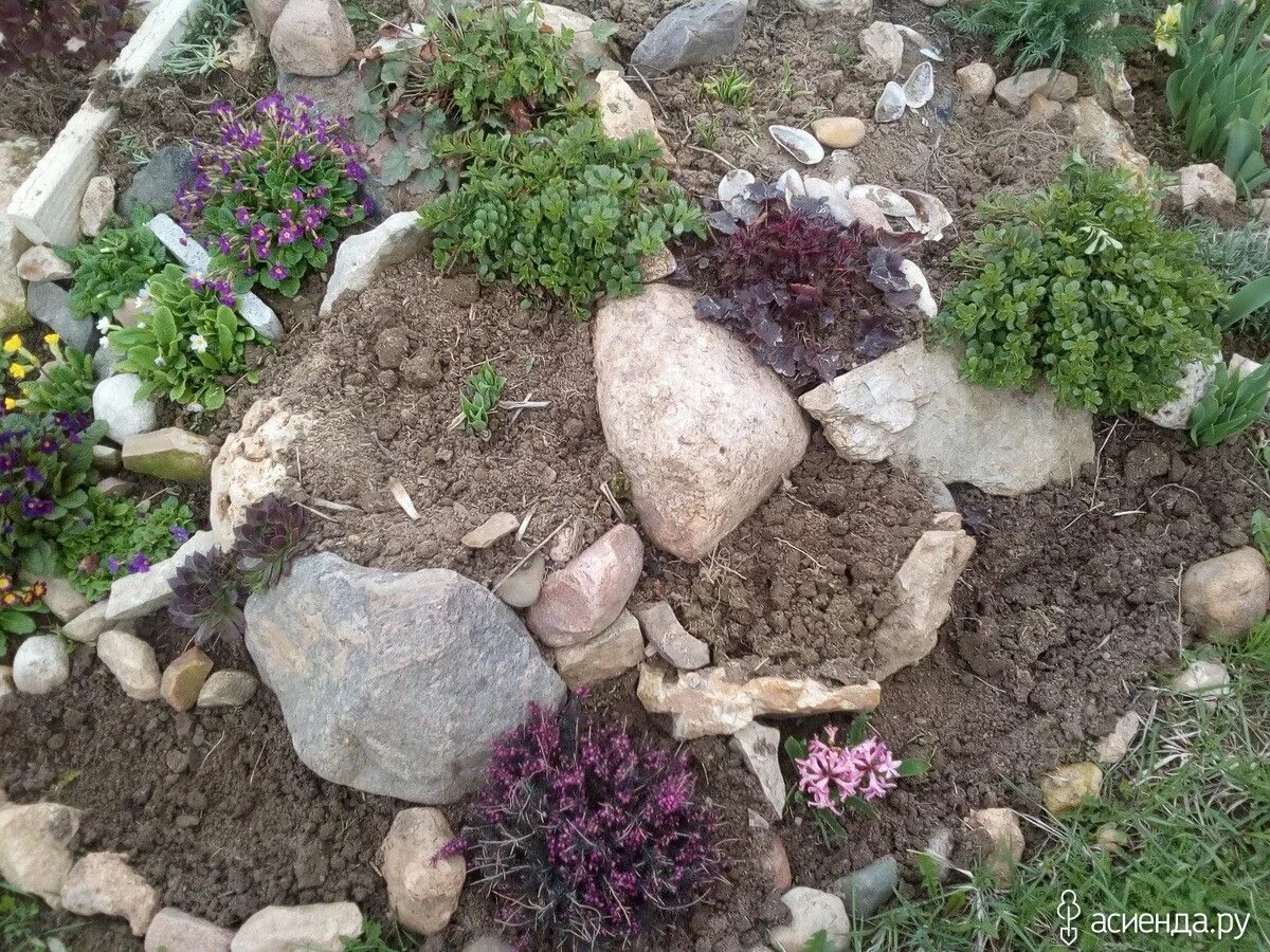 Пошаговая инструкция альпийской горки фото Pin on ozdobná zahrada in 2024 Small garden design, Rock garden, Garden design