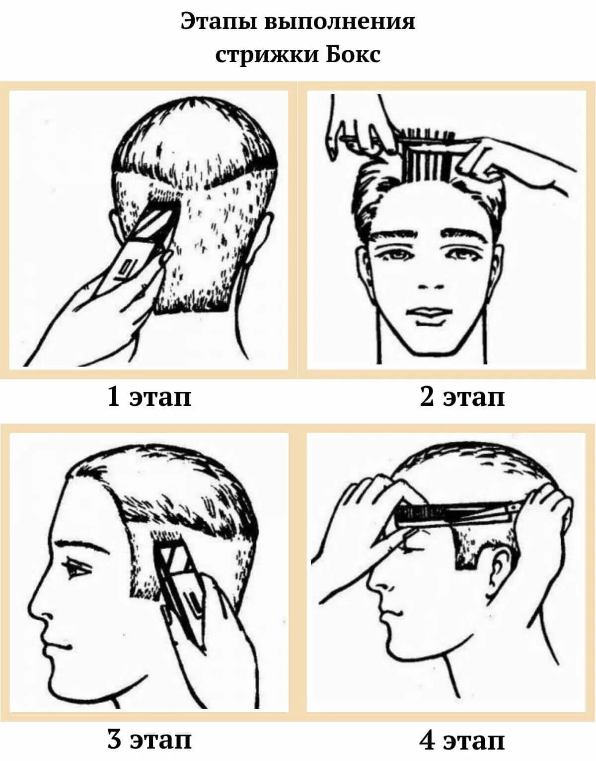 Пошаговая инструкция мужской стрижки Стрижка бокс: варианты, особенности исполнения и укладки