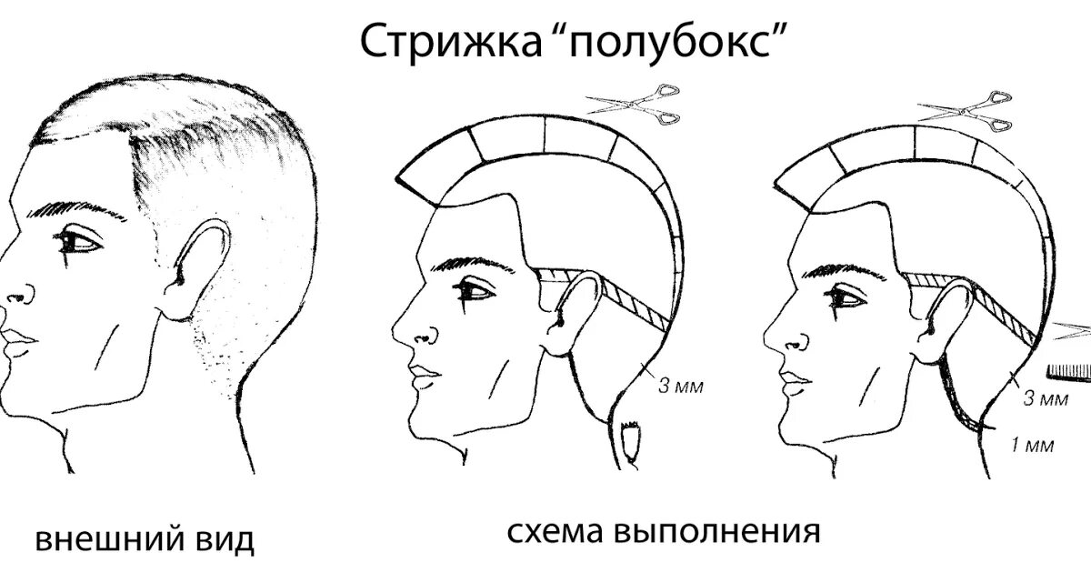 Пошаговая инструкция мужской стрижки Стрижка полубокс рекомендуется для коротких волос любого типа. Техники стрижки :